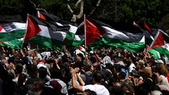مظاهرة كبيرة في مدينة سيدني الأسترالية، رفضًا للحرب الإسرائيلية على قطاع غزة وقتل الأطفال.