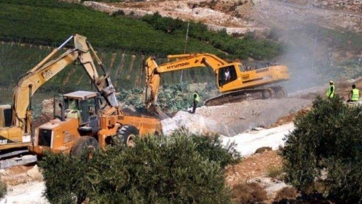 الاحتلال يجرف عشرات الدونمات المزروعة بالزيتون شرق قلقيلية