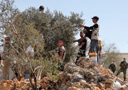 جيش الاحتلال يمنع أهالي كفر الديك من قطف الزيتون