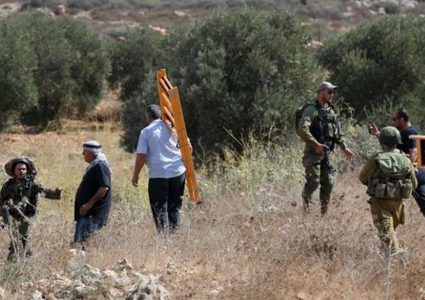 الاحتلال يعتدي بالضرب على مواطن أثناء قطفه ثمار الزيتون جنوب نابلس