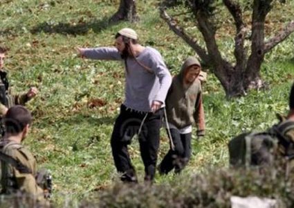 مستوطنون يطلقون النار تجاه قاطفي الزيتون في جنين