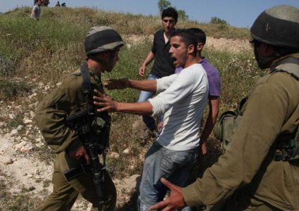 قوات الاحتلال تحتجز قاطفي الزيتون في قبلان