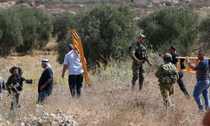 الاحتلال يجبر قاطفي الزيتون في اسكاكا على مغادرة أراضيهم