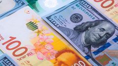 أسعار صرف العملات لليوم الإثنين