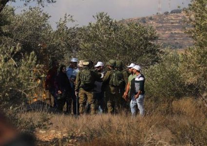 الاحتلال يجبر المزارعين على مغادرة أراضيهم في يانون جنوب نابلس