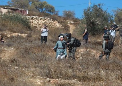 مستوطنون يهاجمون قاطفي الزيتون في ديراستيا وحارس بسلفيت