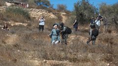 مستوطنون يهاجمون قاطفي الزيتون في ديراستيا وحارس بسلفيت