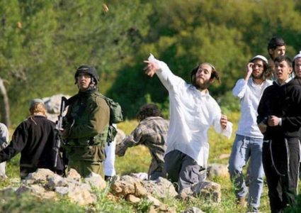 مستوطنون يعتدون على ممتلكات المواطنين في قريوت جنوب نابلس