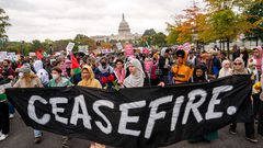 واشنطن: نشطاء يطالبون الكونغرس بمعارضة تقديم مساعدات عسكرية لإسرائيل