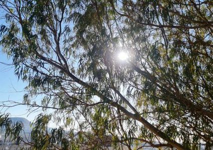 الطقس: أجواء حارة نسبيا.. وتوقعات بسقوط أمطار متفرقة على بعض المناطق ليلا