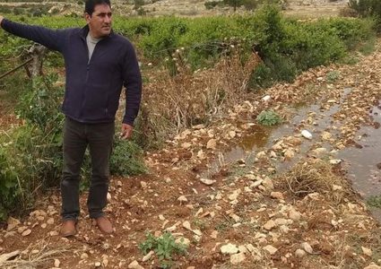 مستوطن يطلق الرصاص صوب مزارع في بيت أمر ويجبره على مغادرة أرضه