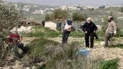 مستوطنون يطلقون النار على مزارعين في قصرة