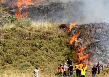 مستوطنون يضرمون النار بأراض مزروعة بالزيتون جنوب نابلس