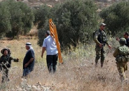 مستوطنون يعتدون على قاطفي الزيتون في مسافر يطا