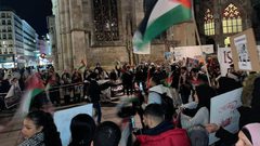 وقفة تضامنية في العاصمة النمساوية فيينا رفضا لمجازر الاحتلال على غزة.