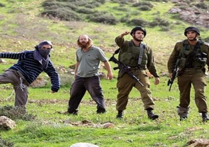 مستوطنون يهاجمون خربة يرزا في الأغوار الشمالية