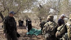 لليوم الثاني: الاحتلال يمنع المزارعين من قطف ثمار الزيتون في رمانة غرب جنين