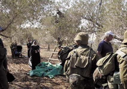 لليوم الثاني: الاحتلال يمنع المزارعين من قطف ثمار الزيتون في رمانة غرب جنين