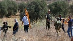 الاحتلال يصيب مواطنين بالاختناق ويمنع آخرين من قطف ثمار الزيتون في تقوع