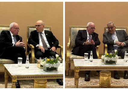 وزير الخارجية الفلسطيني يلتقي نظرائه العرب ويدعو لوقف المجازر بغزة