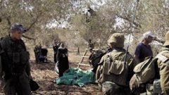 الاحتلال يمنع عائلة من قطف الزيتون ويستولي على معداتها جنوب نابلس