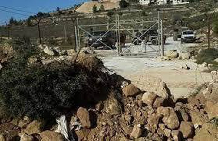 الاحتلال يجرف طريقا زراعيا في نحالين غرب بيت لحم
