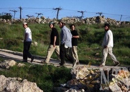 مستوطنون يعتدون على منزل ويحطمون أشجارا مثمرة بمسافر يطا