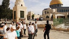 مستوطنون يقتحمون المسجد الأقصى