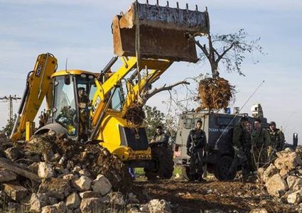 مستوطنون يشقون طريقا استيطانيا في مسافر يطا جنوب الخليل