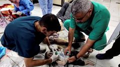 فلسطين تشيد بدعم خمس دول لإحالتها للجنائية