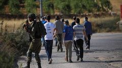 مستوطنون يهاجمون مواطنا ويسرقون ماشية في برية تقوع جنوب شرق بيت لحم