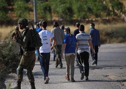 مستوطنون يهاجمون مواطنا ويسرقون ماشية في برية تقوع جنوب شرق بيت لحم