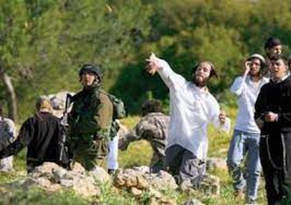 إصابة مواطنين وصحفيين أجانب في اعتداء لمستعمرين جنوب الخليل