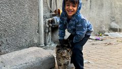 صمود أهل غزة في مخيم جاليا وشمال غزة رغم المجازر والتجويع والحصار