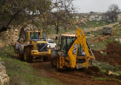 الاحتلال يجرف 100 دونم ويقتلع نحو 150 شجرة زيتون شرق قلقيلية
