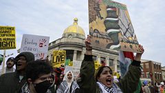 تظاهرات في مدن وعواصم عالمية تضامنا مع فلسطين