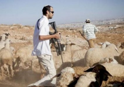 مستوطنون يعتدون على بدو المعرجات بأريحا وينهبون أغنامهم