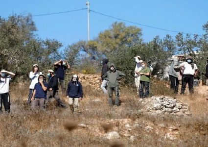 مستوطنين يستولون على عشرات الدونمات في بيت لحم