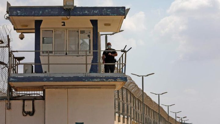 الاحتلال يحتجز في سجونه 142 معتقلة من غزة بينهنّ طفلات رضيعات