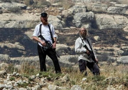 مستوطنون يستولون على مساحات واسعة من أراضي بلدة يطا جنوب الخليل