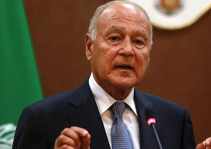 أبو الغيط: معالجة مأساة غزة جذريا يتطلب تطبيق حل الدولتين