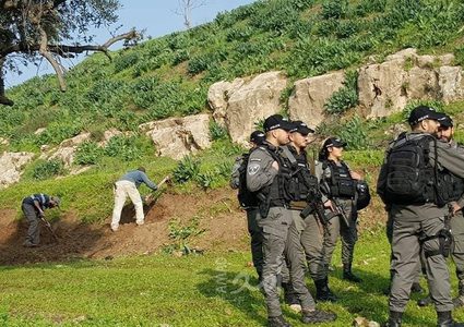 الاحتلال يمنع المواطنين من زراعة أشتال الزيتون في عصيرة الشمالية