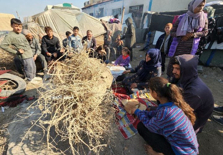 افران مجانية على البحر.. مبادرة من النازحين في دير البلح