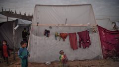 أطفال في مخميات جنوب قطاع غزة يعانون من الحرب والجوع