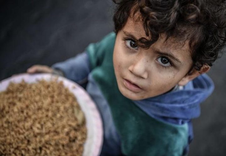 المنظومة الغذائية والصحية في قطاع غزة تشهد انهياراً كاملاً