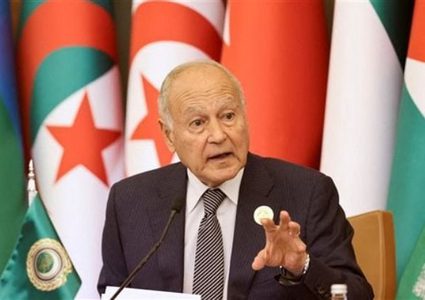 أبو الغيط: قرار مجلس الأمن جاء متأخرا والمطلوب وقف إطلاق النار بالكامل في القطاع