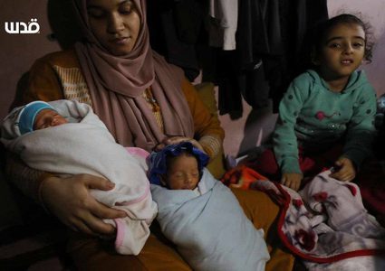 غزة: النازحة إيمان المصري تنجب 4 توائم ( الرابع تحت العناية بالمستشفى)