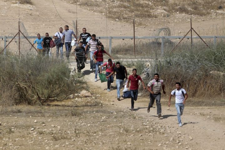 اسرائيل تعد خطة لاستبدال العمال الفلسطينيين خلال 2024