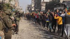 هآرتس: ارتفاع عدد المعتقلين من غزة بنسبة 150%