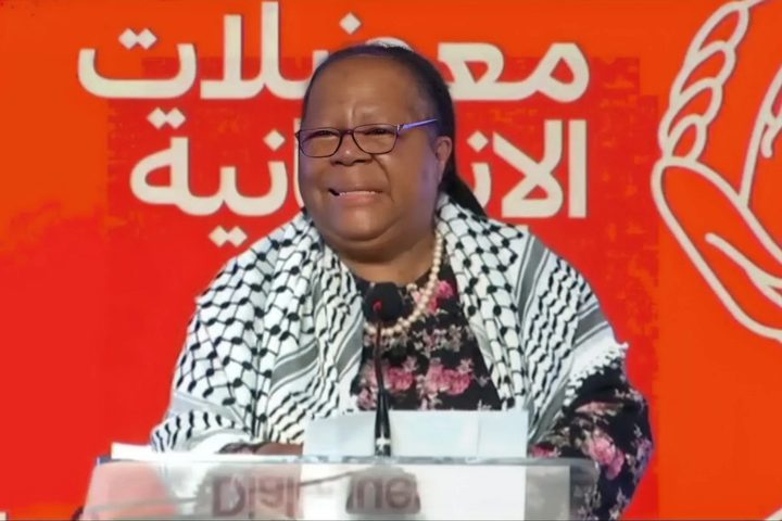 وزيرة خارجية جنوب أفريقيا: سنكافح لوقف الإبادة الجماعية بغزة